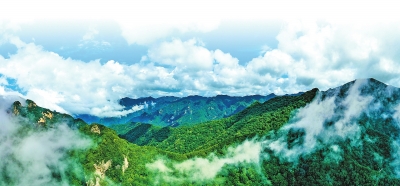 金山變“金山” —小秦嶺生態(tài)治理的觀察與思考